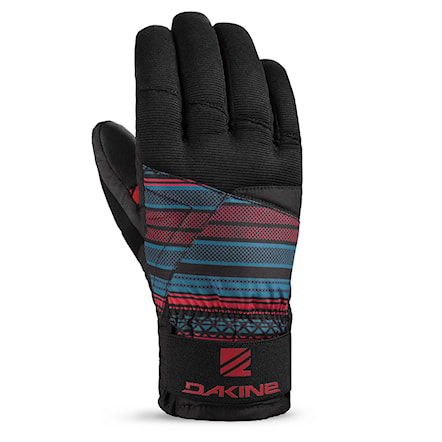 Snowboard Gloves Dakine Matrix mantle 2015 - 1