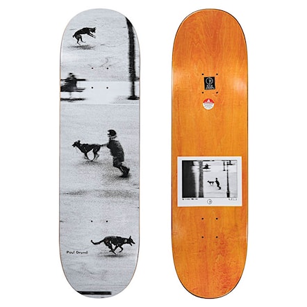 Skate Deck Polar Paul Grund Dog Studies 8.25 2020 - 1