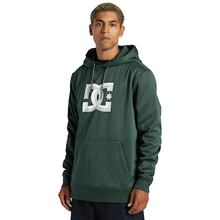 Technical Hoodie DC Snowstar sycamore 2024 - 3