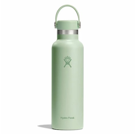 Thermos Hydro Flask 21 Oz Standard Flex Cap aloe - 1