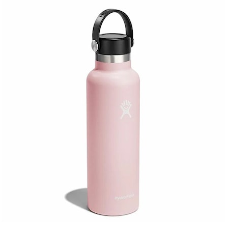 Thermos Hydro Flask 21 Oz Standard Flex Cap trillium - 2