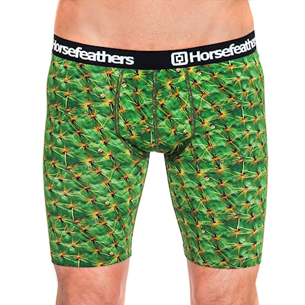 Boxer Shorts Horsefeathers Sidney Long cactus - 1