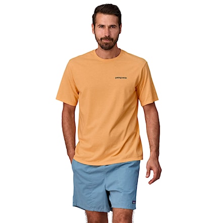 Tričko Patagonia M's P-6 Logo Responsibili-Tee beeswax tan 2024 - 4