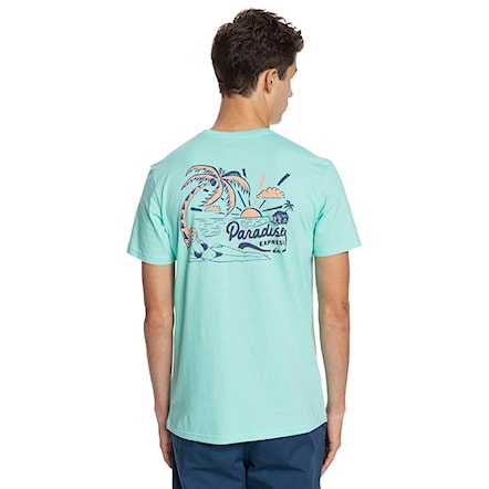 T-shirt Quiksilver Another Escape Ss cabbage 2021 - 1