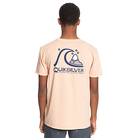 T-shirt Quiksilver Fresh Take Ss apricot 2021 - 1