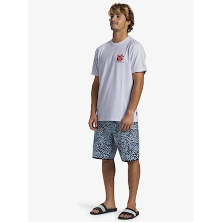 T-shirt Quiksilver Surf Moe white 2024 - 7