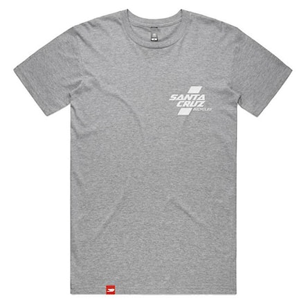 T-shirt Santa Cruz Parallel grey 2020 - 1