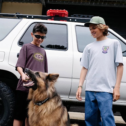 Koszulka Volcom Kids FA Ben Sanair Tee 1 light blue acid 2026 - 5