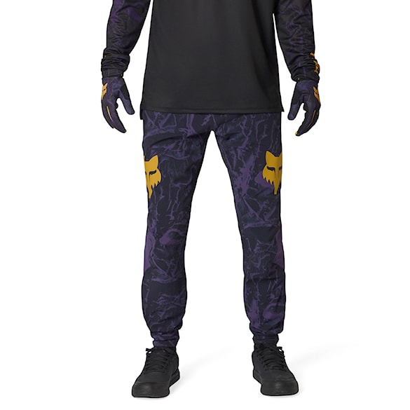 Bike Pants Fox Ranger Pant Image Print plum 2026 - 1