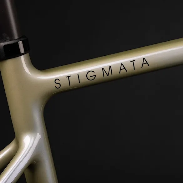 Gravel Bike Santa Cruz Stigmata CC Force Axs Rsv matte sour grape 2027 - 3