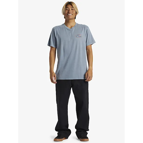 Pants Quiksilver Carpenter Pant black 2024 - 6