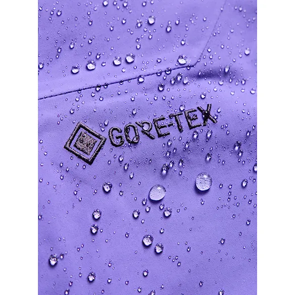 Kalhoty na snowboard Burton Wms Ak Gore-Tex Cyclic Bib Regular purple voltage 2027 - 9