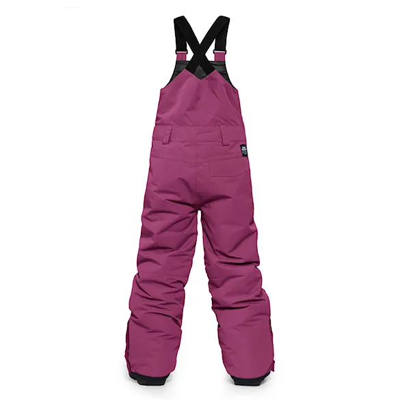 Nohavice na snowboard Horsefeathers Medler II Youth orchid 2026 - 2