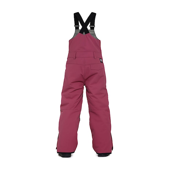 Spodnie snowboardowe Horsefeathers Medler II Youth Pants malaga 2025 - 2