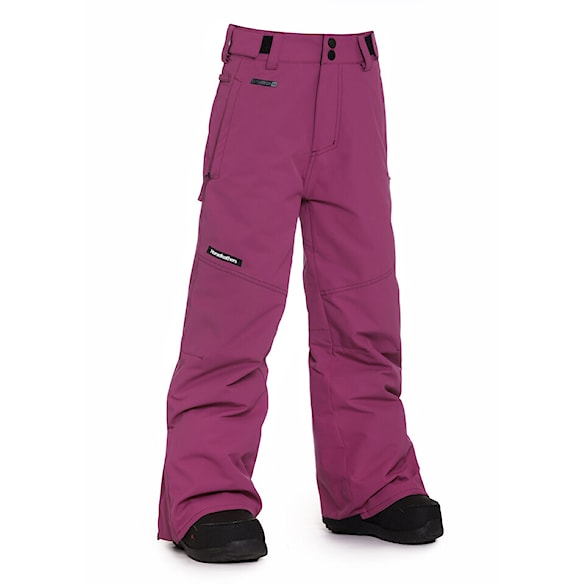Kalhoty na snowboard Horsefeathers Orca Youth orchid 2026 - 2