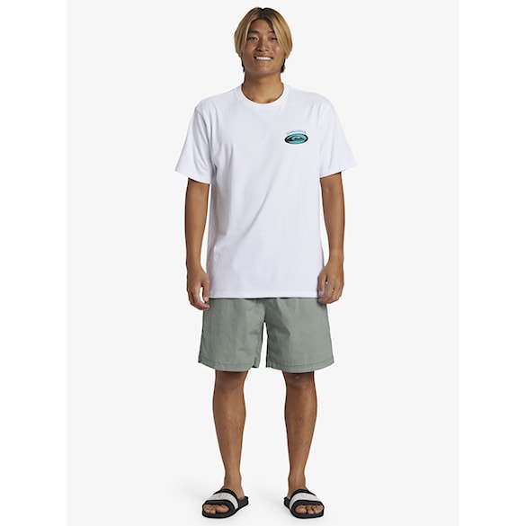 Shorts Quiksilver Taxer sea spray 2024 - 5