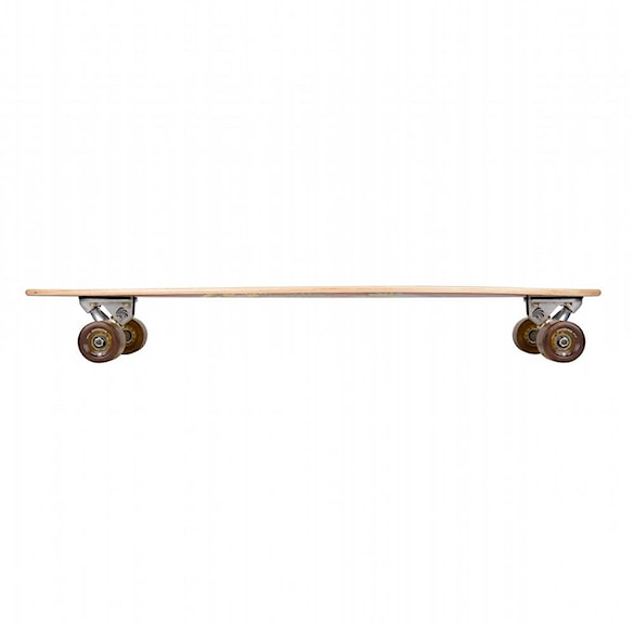 Longboard Arbor Solstice B4Bc Fish 2023 - 2