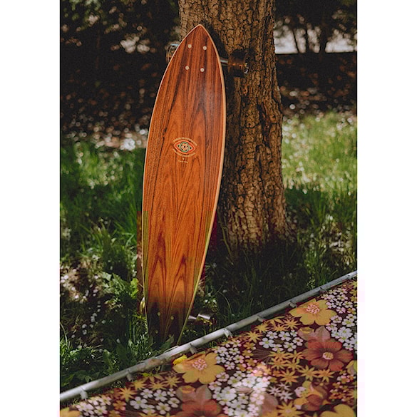 Longboard Arbor Solstice B4Bc Fish 2023 - 5