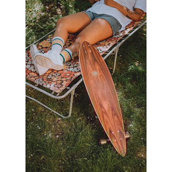 Longboard Arbor Solstice B4Bc Fish 2023 - 8