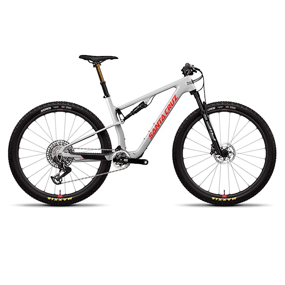 Rower MTB Santa Cruz Blur CC XX AXS RSV-Kit 29" matte silver 2024 - 1