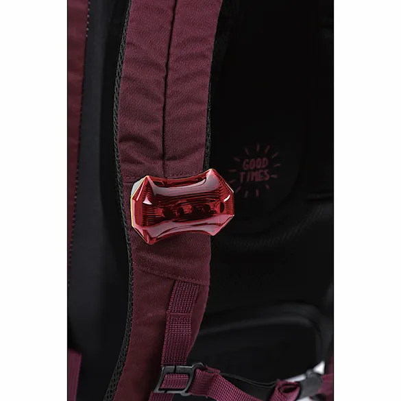 Batoh Nitro Daypacker wine - 18