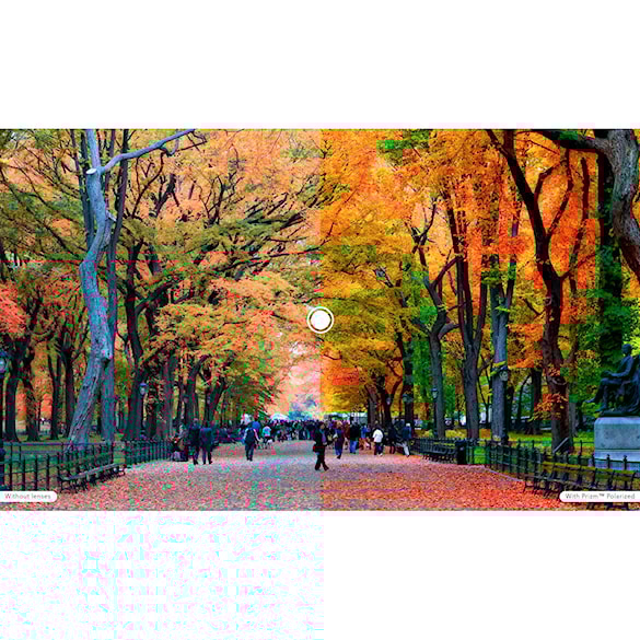 Náhradné sklo Oakley Flak 2.0 XL prizm tungsten polarized 2020 - 2