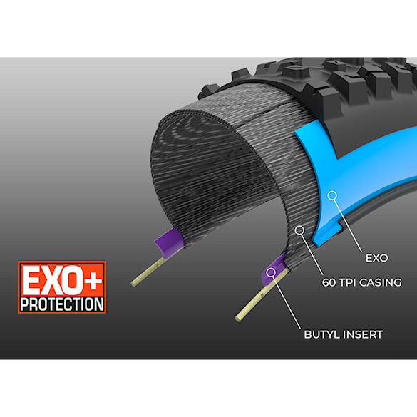 Tire Maxxis Assegai 29×2.50" 3CG/EXO+/TR - 4