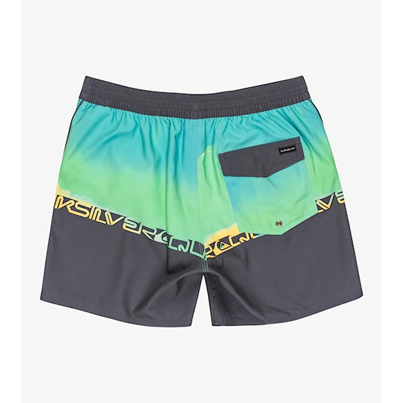 Swimwear Quiksilver Everyday Half Jam 16 summer green wordblock 2025 - 8