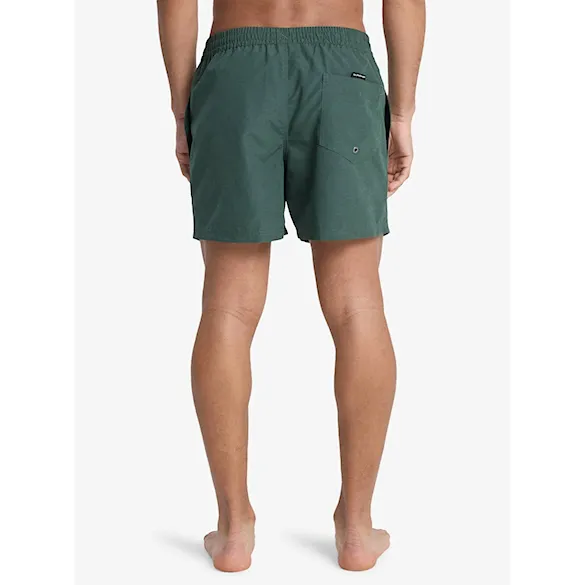 Swimwear Quiksilver Everyday Solid Volley 15 dark green 2026 - 3