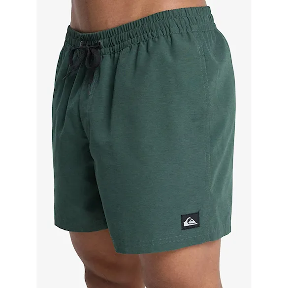 Swimwear Quiksilver Everyday Solid Volley 15 dark green 2026 - 4