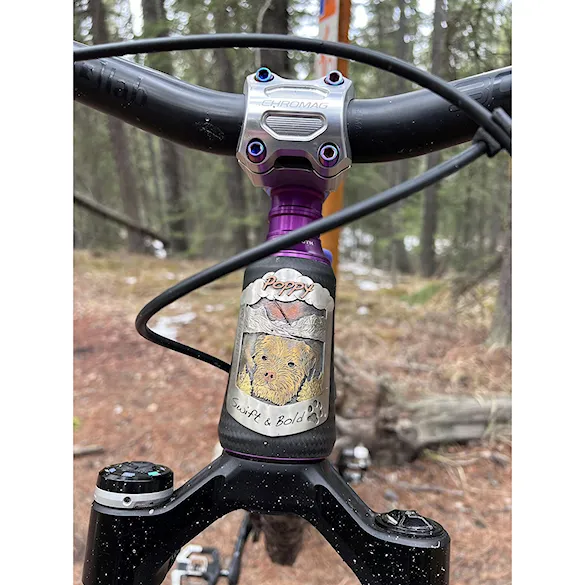 Stem Chromag Riza 31.8×38 red - 7