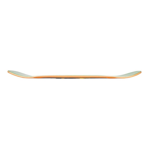 Skate deska Arbor Legacy Rooted 9.75 2026 - 3