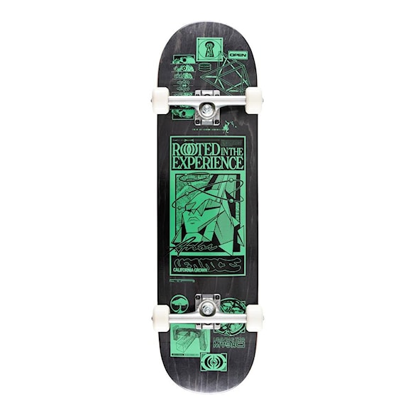 Skateboard Arbor Rooted In The Experience 8.5 2026 - 4