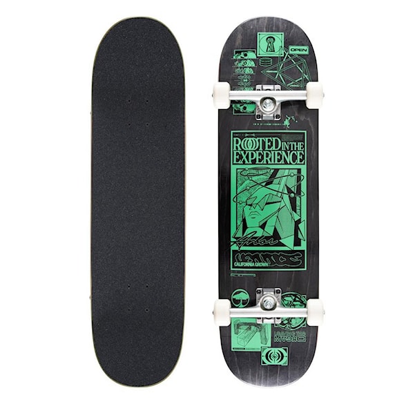 Skateboard Arbor Rooted In The Experience 8.5 2026 - 1