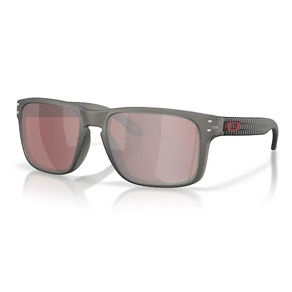 Sluneční brýle Oakley Holbrook matte grey smoke | prizm snow black - 1