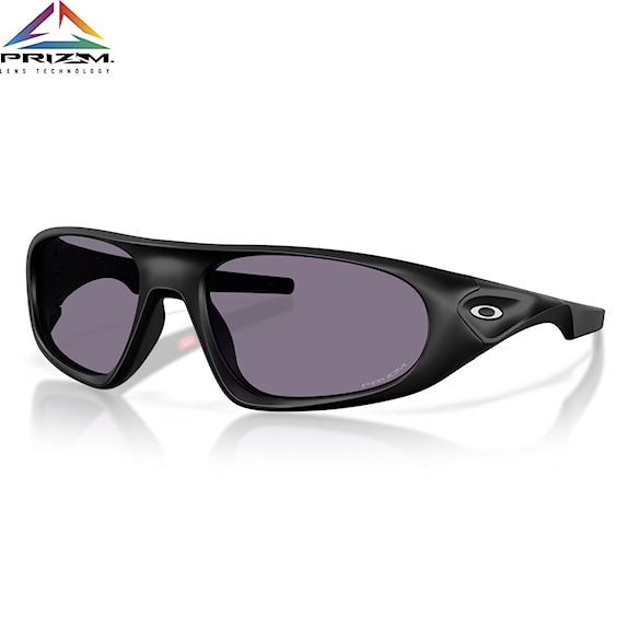 Sunglasses Oakley Neoforma matte black | prizm grey - 1