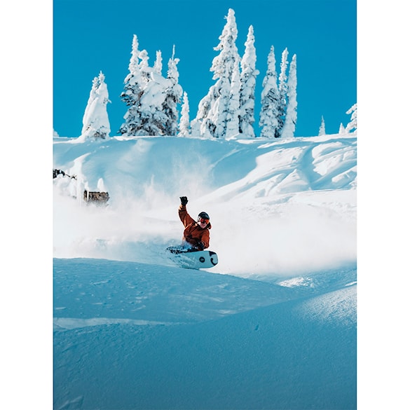 Snowboard Burton Family Tree Hometown Hero X-Ray 2026 - 3