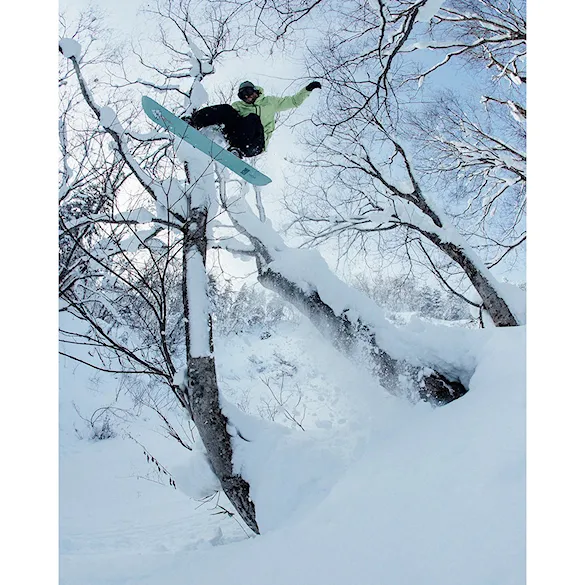 Snowboard Rome Stale Fish 2026 - 2