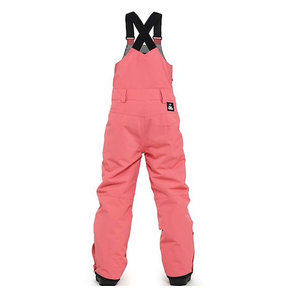 Snowboard Pants Horsefeathers Medler II Youth tea rose 2024 - 2