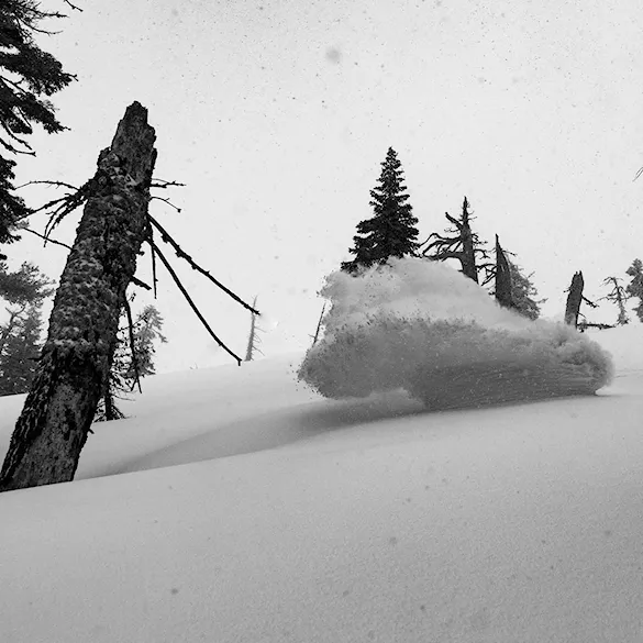 Splitboard Jones Dream Weaver 2024 - 4