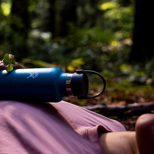 Termoska Hydro Flask 21 oz Standard Mouth Flex Cap indigo - 5