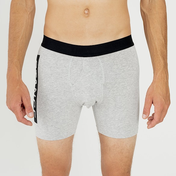 Trenírky Stance OG Boxer Brief heather grey - 5