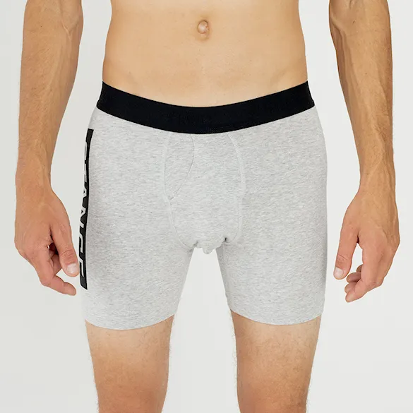 Trenírky Stance OG Boxer Brief heather grey - 5