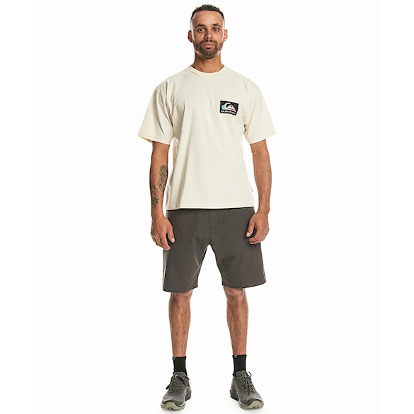 T-shirt Quiksilver Back Flash SS birch 2024 - 3