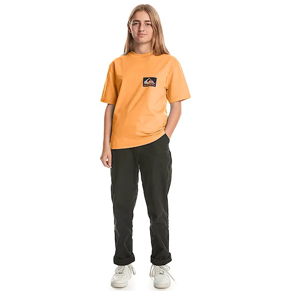 Tričko Quiksilver Back Flash Ss Youth tangerine 2024 - 3