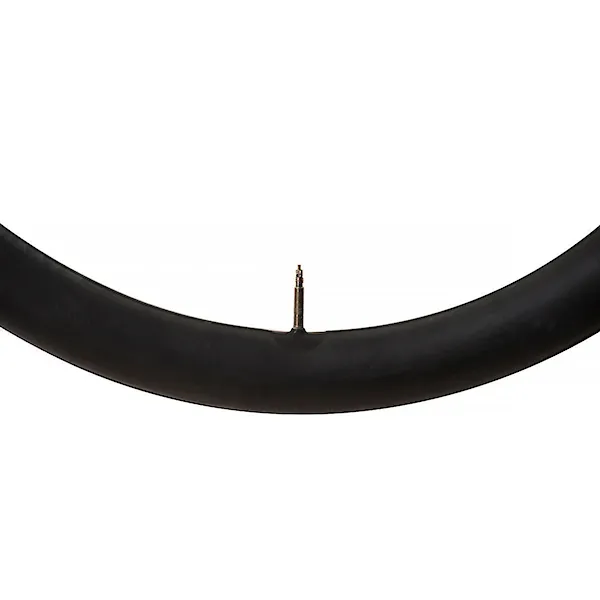 Duše Maxxis Welter Weight Gal-FV 48mm 29×1.75/2.4