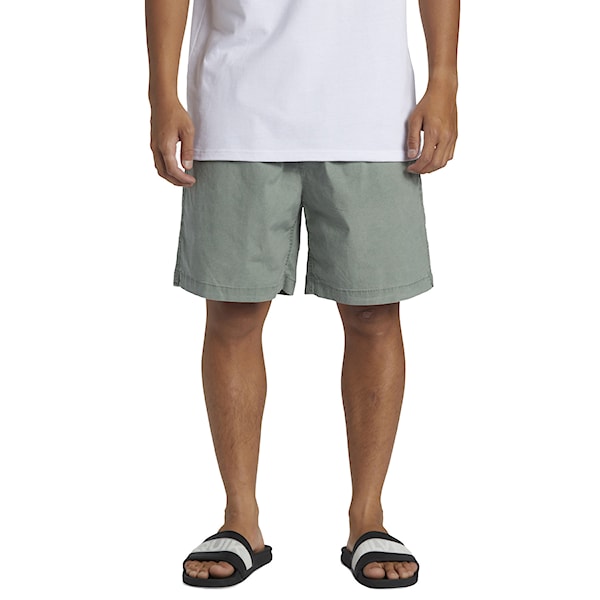 Shorts Quiksilver Taxer sea spray 2024