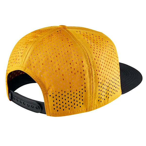 Kšiltovka Nike SB Spring Training gold leaf/black/black 2016
