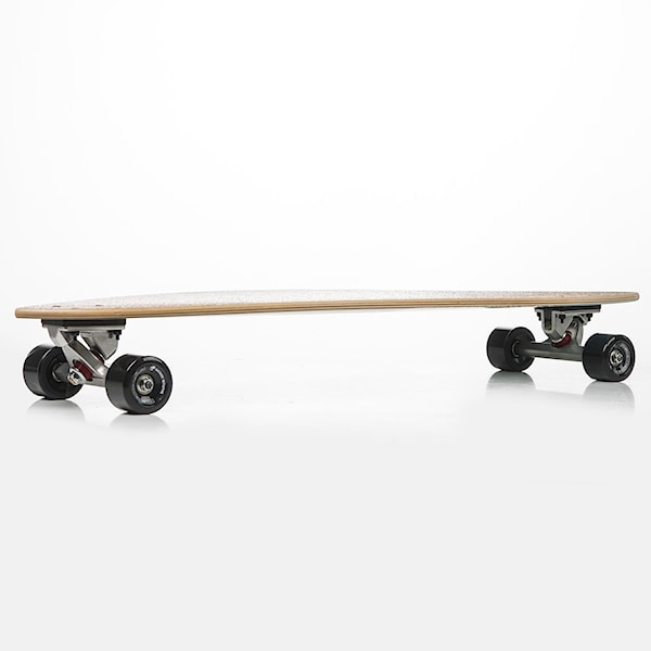 Longboard Arbor Fish 2015