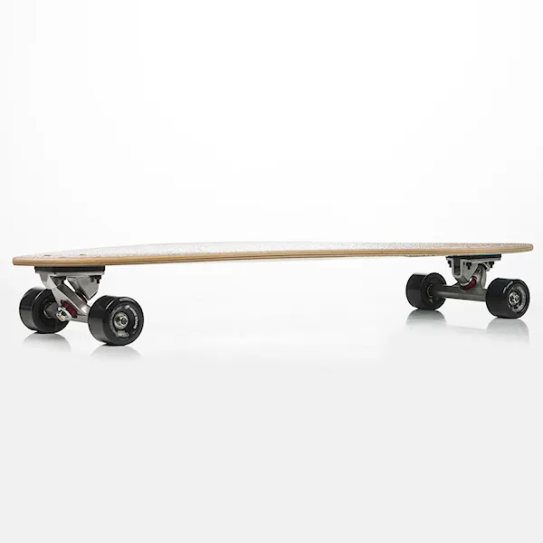 Longboard Arbor Fish 2015
